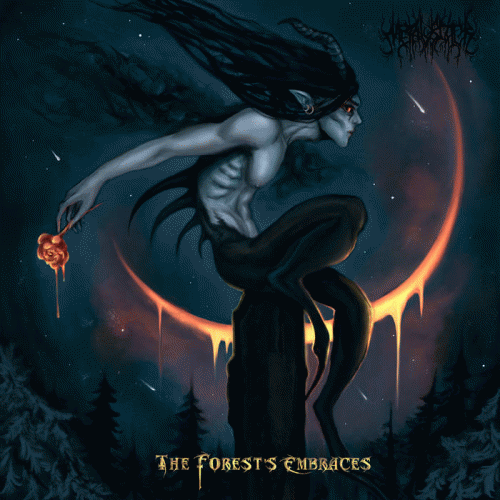 Metalblack : The Forest's Embraces